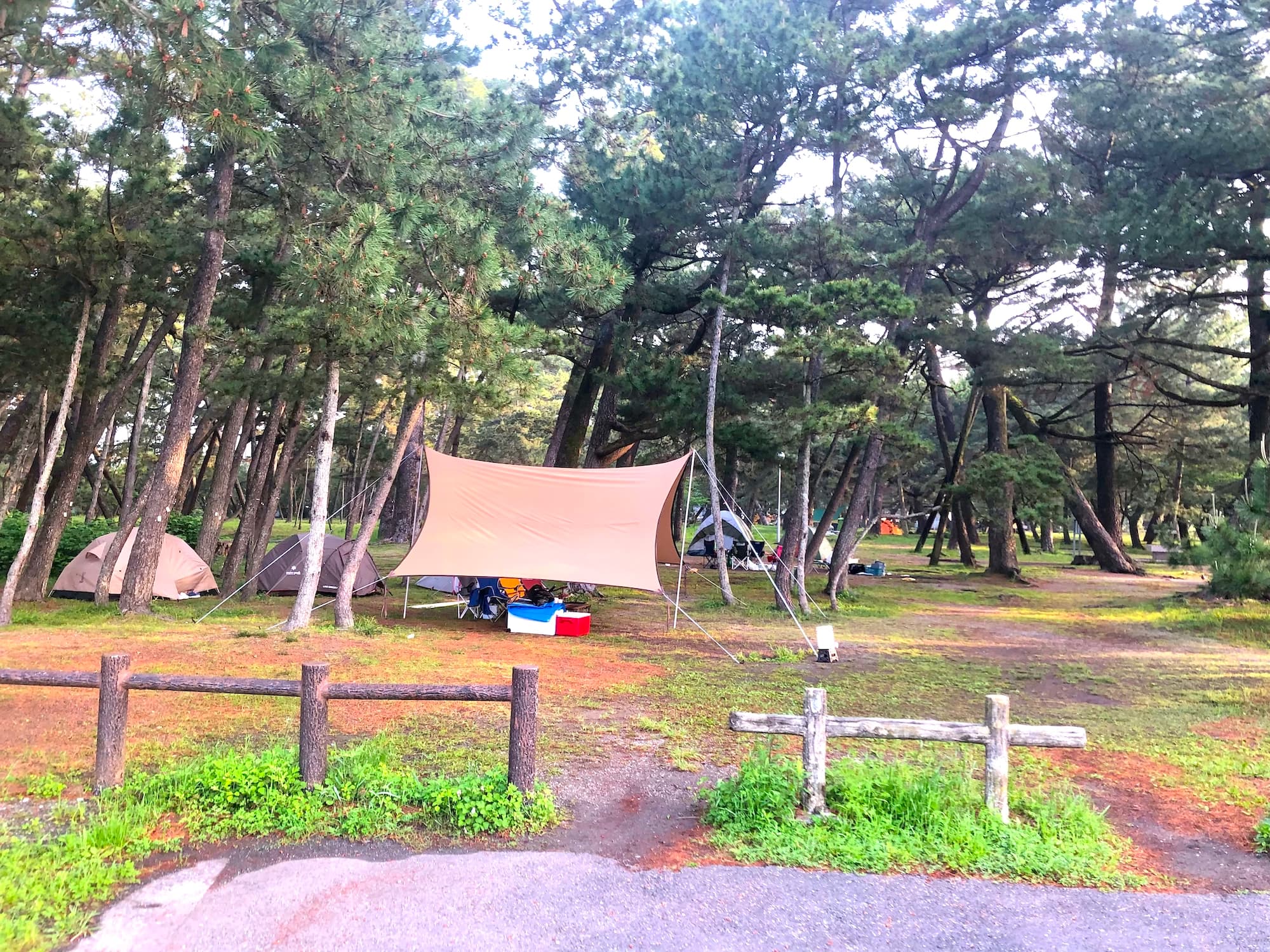 種崎 千松 公園 キャンプ 場