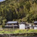 1361446-7a991766-068f-40e5-be24-96747b71704b