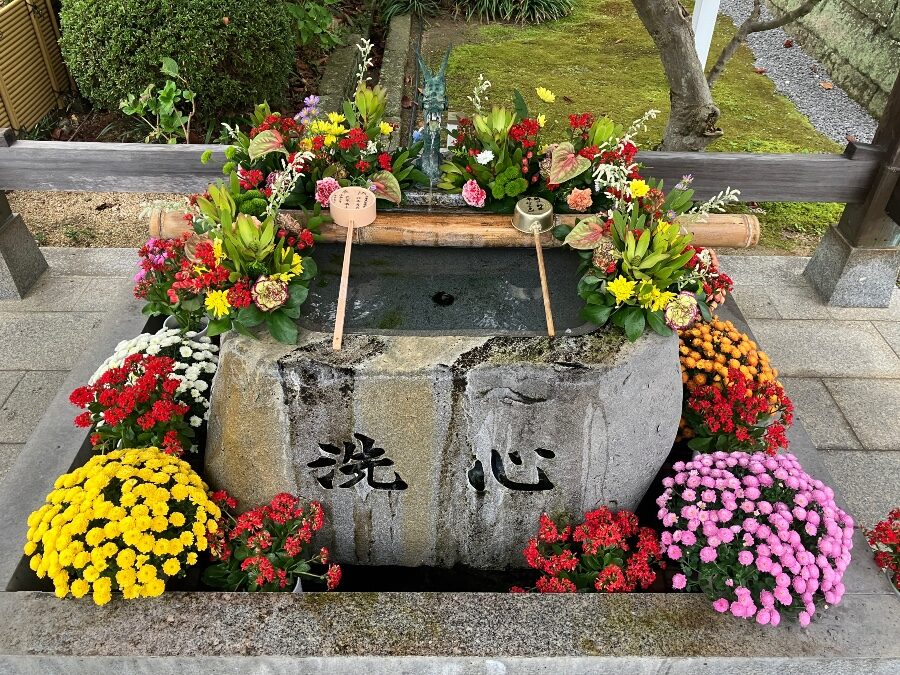 曼荼羅寺の花手水