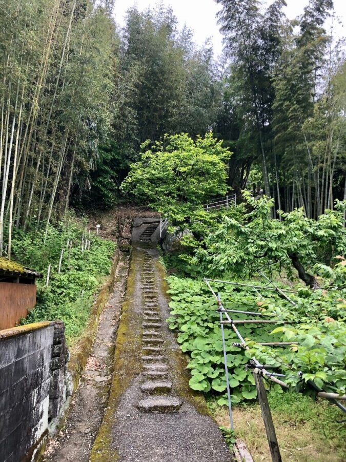 竹林寺の上り道