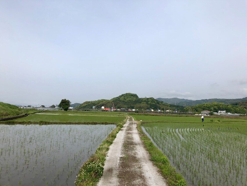 12日目：ラーメンを食べて日常に戻った（野市▶高知駅前）