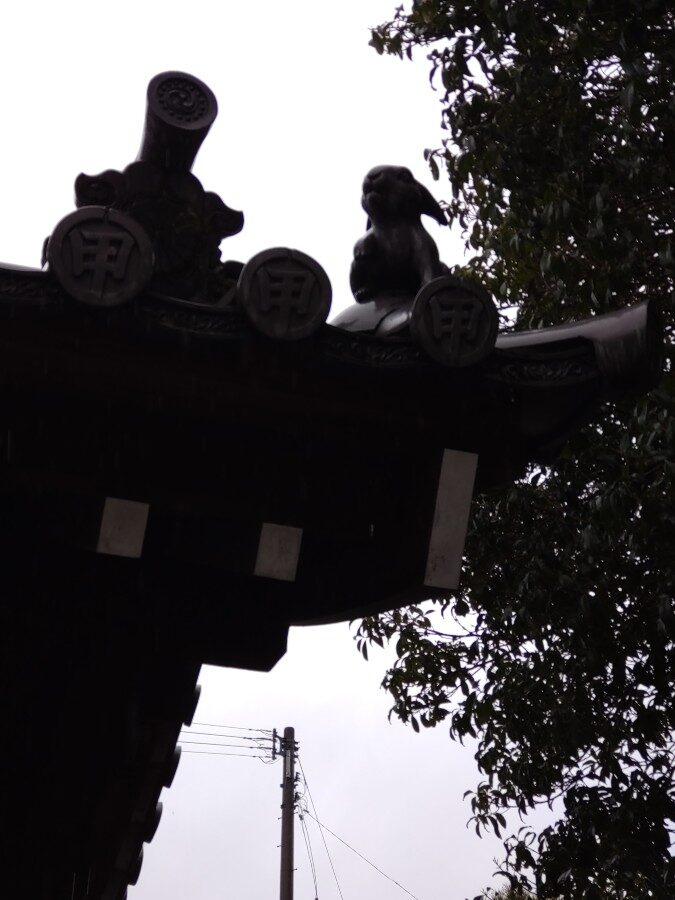 甲山寺のうさぎ
