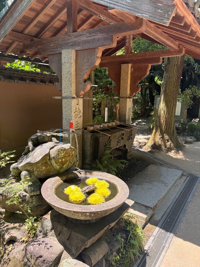 46番浄瑠璃寺の花手水